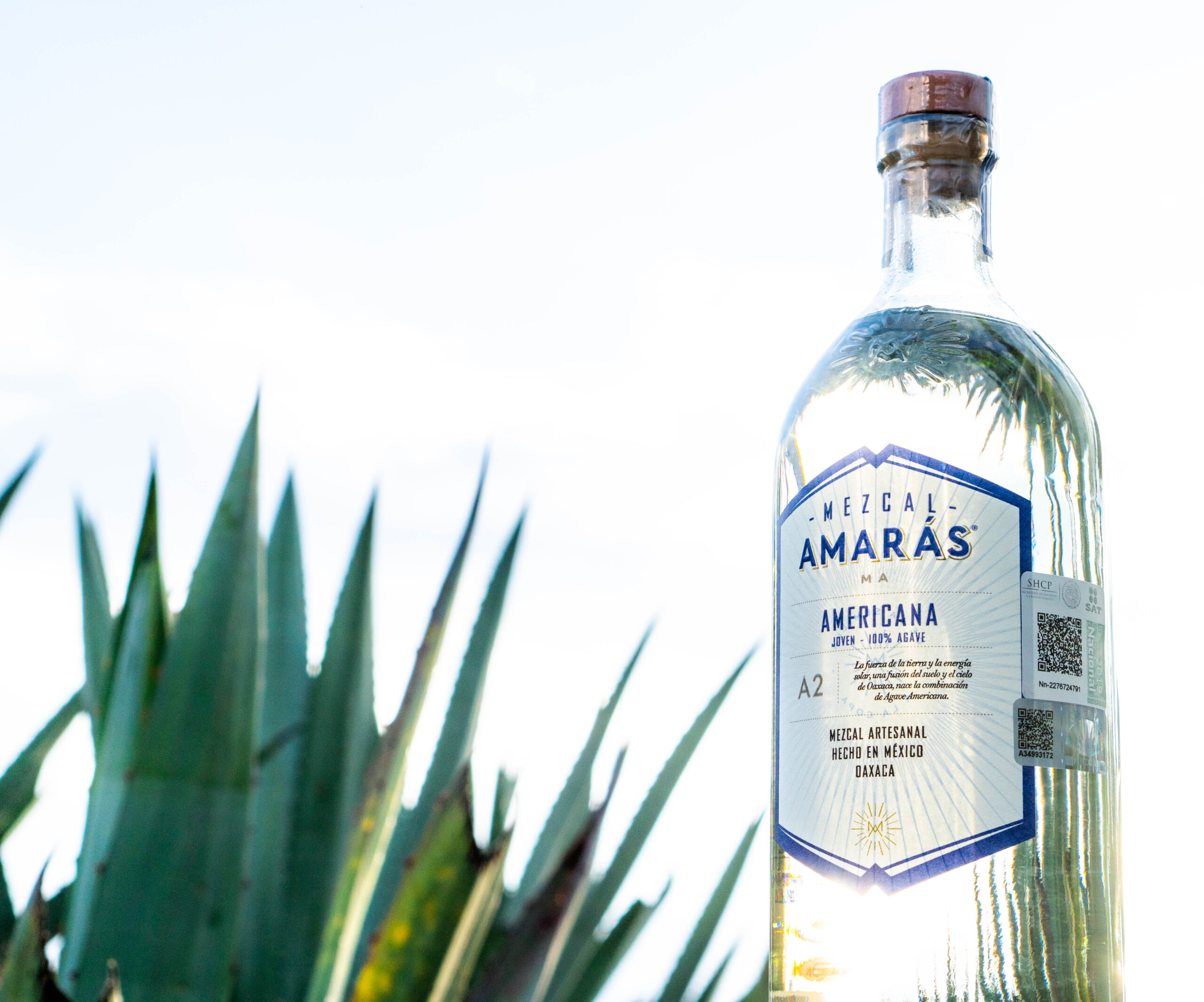 阿瑪拉斯 美洲 梅茲卡爾:圖片 4